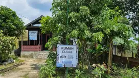 Dijual rumah dan sarang burung wallet