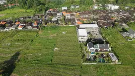 Lahan Pantai Nyanyi Zona Kuning Dekat Nuanu