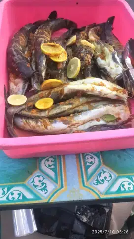 Lele marinasi,praktis tinggal goreng