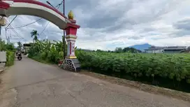 Tanah Cifor Promo Fresh Launching Dekat SDN Situ Gede 04
