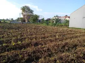 Tanah Kavling Murah 2juta-an, area Dramaga Bogor dekat Kampus IPB