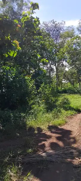 Tanah siap bangun sudah SHM
