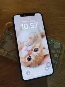 Iphone x 64gb komplite