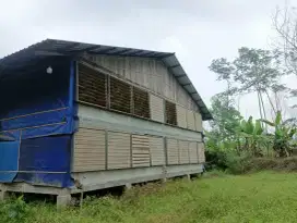 JUAL KANDANG AYAM BROILER