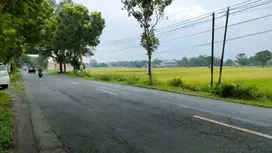 tanon kec papar jalur provinsi kediri surabaya jual tanah sekoto