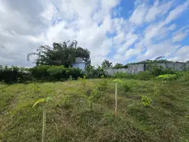 Tanah Siap Bangun, Bonus Desain Rumah Gratis