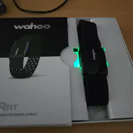 Wahoo heart rate arm