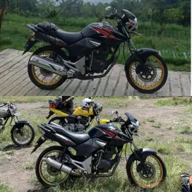 Tiger revo 2010