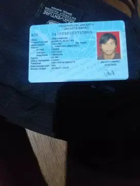 Driver supir pribadib atu mobil box