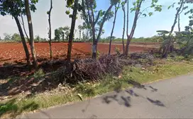 Dijual tanah 56 Ha di Nogosari