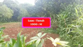 DI JUAL CEPAT TANAH HARGA MURAH