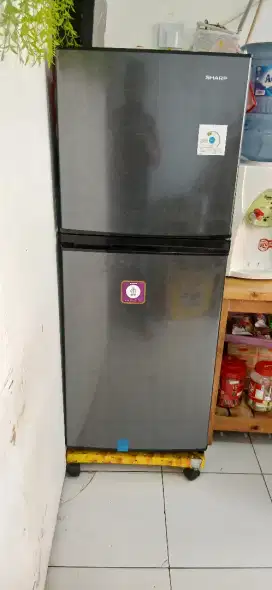 Kulkas sharp 2 pintu