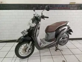 Scoopy stylish tahun 2020 pajak panjang