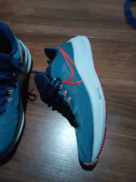 Nike running shoes air zoom pegasus 39