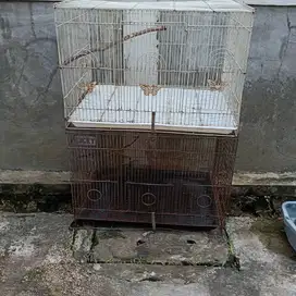 Kandang Anjing kecil, Kucing, Iguana