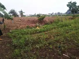 jual tanah sawah jl mangiran lamong masuk kedalam , sekoto badas
