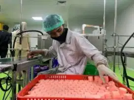 Di cari lulusan d3 farmasi untuk TTK FARMASI yang memiliki SIP dan STR