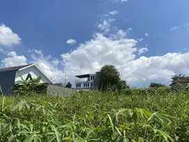 Peluang Investasi Tanah di Joyoagung – Akses Lebar, Lokasi Berkembang!