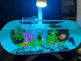 Aquarium mini & filter air