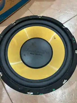 Subwoofer 10 inch american pro