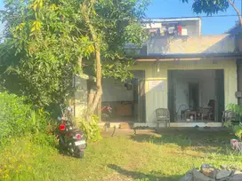 Rumah & Kios di Jl. Palir Kaliancar, Podorejo, Ngaliyan