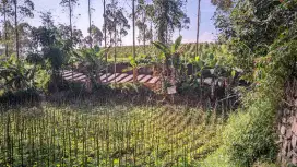 Dijual Tanah 560 m² Pinggir Jalan – Dekat Irigasi, Surat AJB!