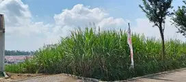 TANAH LOKASIN MENDALAM WANGI WAGIR MALANG