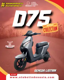 Sepeda listrik D75