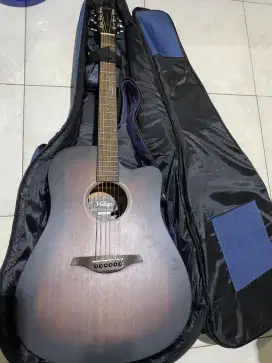 Gitar Akustik Elektrik Vintage seri VE440WK