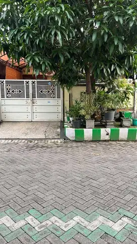 Dijual Rumah Medayu Kosagrha Rungkut Gununganyar Furnished