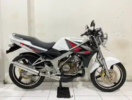 Ninja R 2014  albino