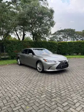 Lexus ES300h Ultra Luxury Sedan 2021