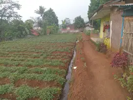 Tanah produktip murah