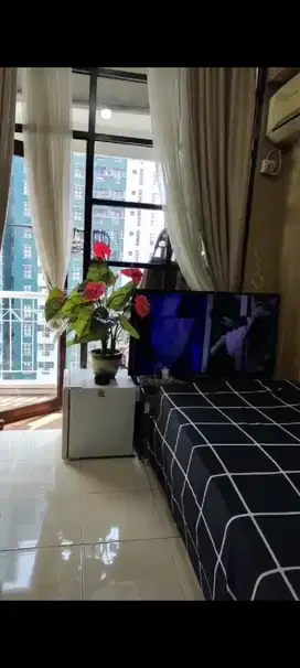 Dijual cepat Apt Salemba Residen 1 BR hadap kolam renang Rp.444 juta
