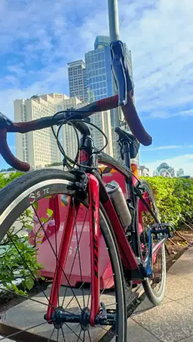 Sepedah Road Bike Pacific Primum 3.3