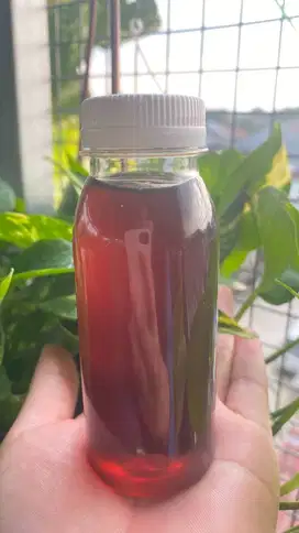 MADU HUTAN SUMATRA 100ml
