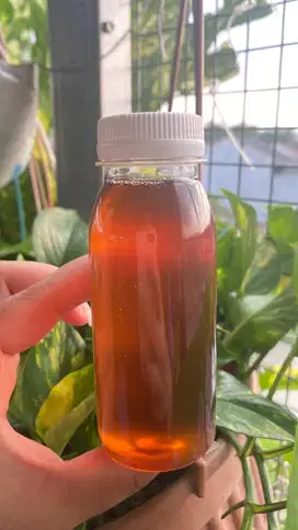 MADU AKASIA 100ml