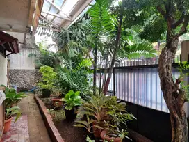 Rumah Tebet Barat Dalam Jakarta Selatan, LT 320m2, rumah 2 muka