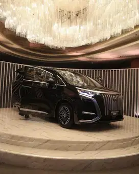 DENZA D9 FLAGSHIP – BRAND NEW – BLACK ON BEIGE