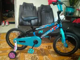 bmx wimcycle 16 in