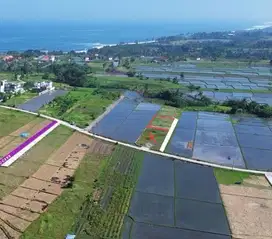 Dijual tanah komersil lokasi kedungu