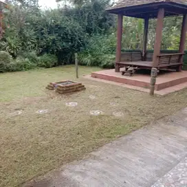MURAH BU, Dijual Tanah Luas 2500 SHM Kintamani Bali