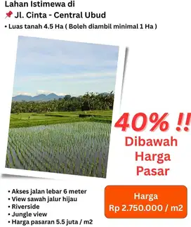 LAHAN DI KAWASAN PREMIUM CENTRAL UBUD, GIANYAR - BALI