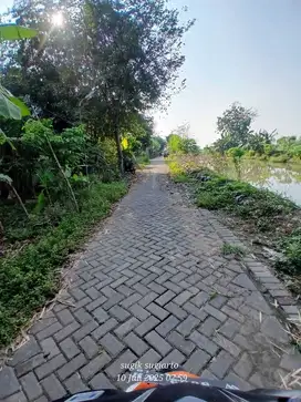 Tanah Pekarangan siap bangun hunian atau usaha produksi