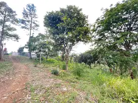 Peluang Emas! Tanah 7800 m² Dekat Summarecon Bogor