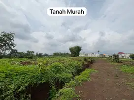 TANAH KAVLING MURAH MALANG DEKAT KAMPUS LEGALITAS SHM SIAP UNTUK KOS