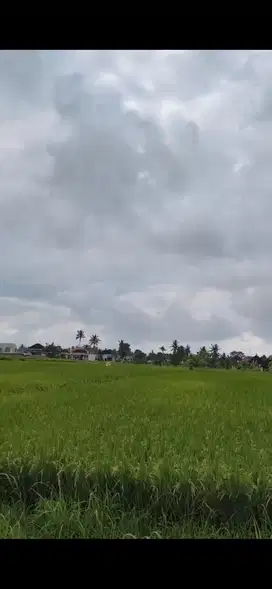 KAVLING 200 M2 DENGAN VIEW RIVER DI UBUD
