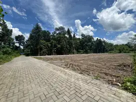 Tanah Belakang Kampus, Cocok Bangun Kos-Kosan