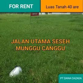 SEWA TANAB JL UTAMA SESEH 40 ARE