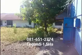 Tanah di Raya Legundi